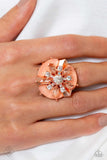 Fiercely 5th Avenue Fashion Fix, December 2023-Jewelry-Paparazzi Accessories-Ericka C Wise, $5 Jewelry Paparazzi accessories jewelry ericka champion wise elite consultant life of the party fashion fix lead and nickel free florida palm bay melbourne